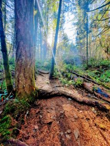 Quality Trails in Victoria
