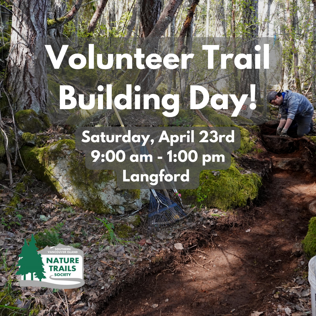 Trail building Volunteer day (2)